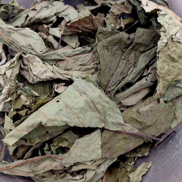 African Dry Bitter Leaves Tea (Vernonia amygdalina)