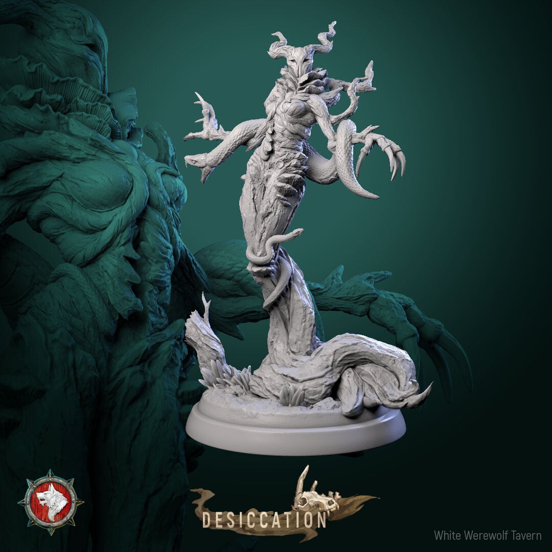Desiccation - Infected Dryad V6 - 32mm