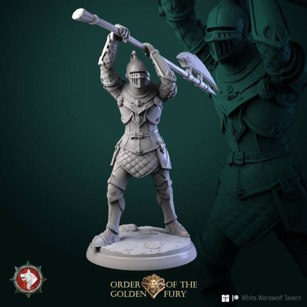 Order of the Golden Fury - Knight v6 - 32mm
