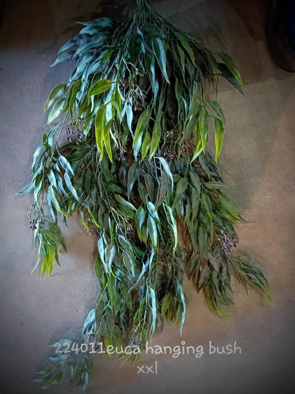224011 euca hanging bush xxl  ( 1- A )