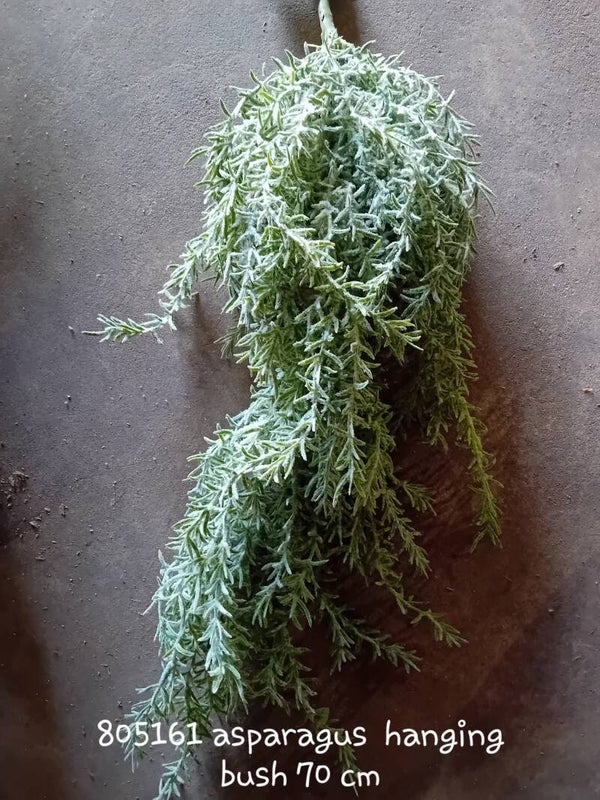 805161 asparagus hanging bush 70 cm  ( 1- A )