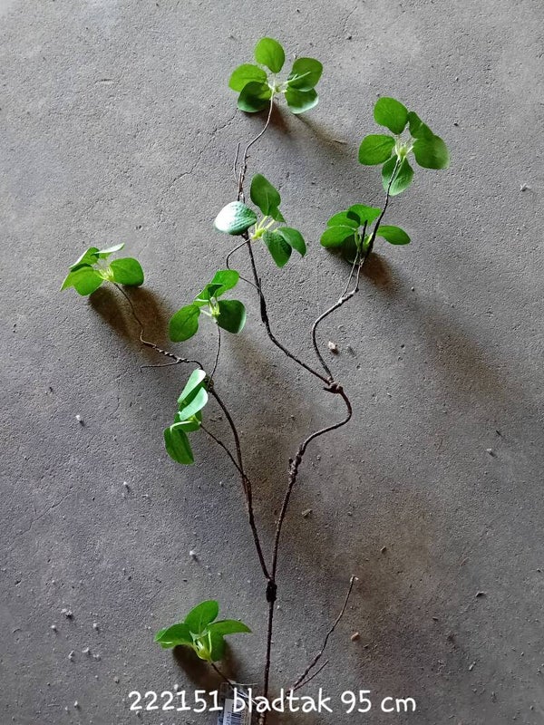 222151 bladtak styrax  95 cm  ( 2- A )
