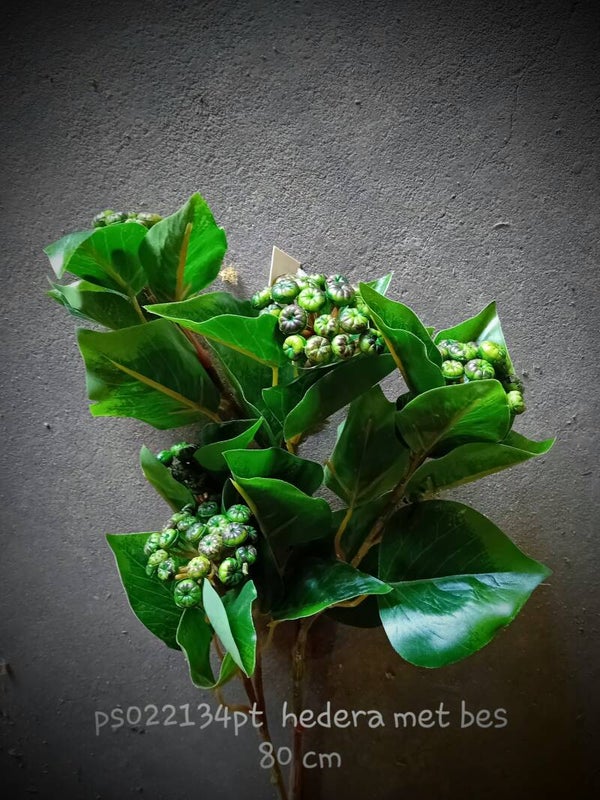 Ps022134 hedera met bes green  ( 1- A )