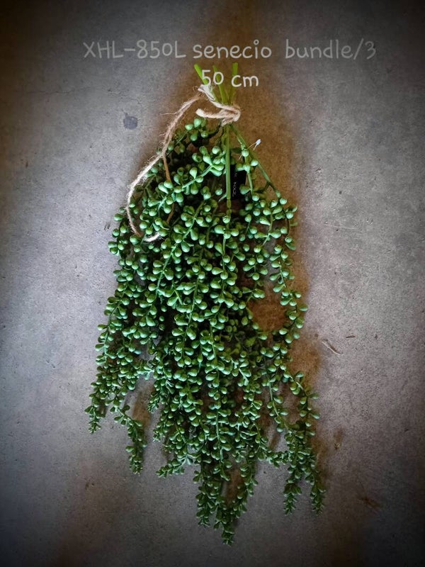 XHL-850L  bundle senecio 60 cm  ( 1 - A )