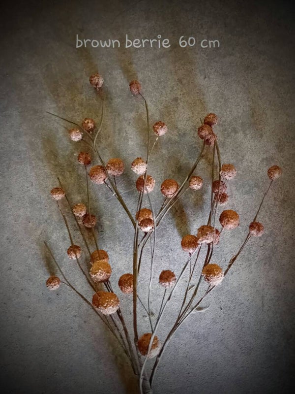 862165075 berrie brown 80 cm ( 1 - B )