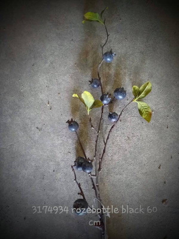 3174934 rozebottle black   ( 1 - A )