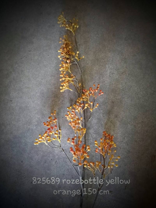 825689 rozebottle yelloworange   ( 1 - A )