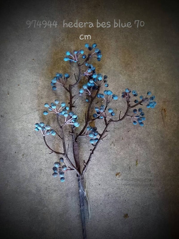 974944 hederabes blue 70 cm   ( 1 - B )