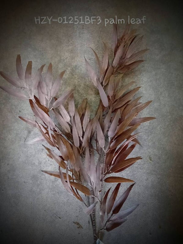 HZY-012518/F3 fern XL 110 CM Brown  ( 1 - A )