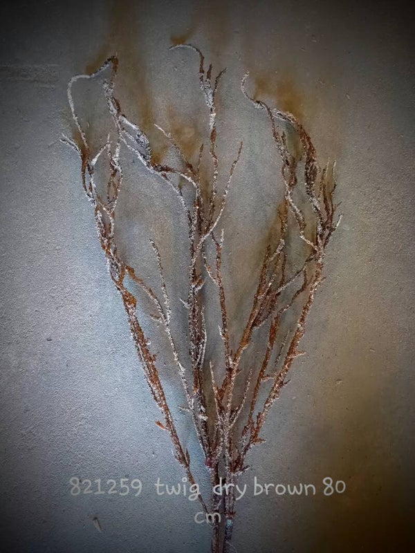821259 twig dry brown  (  2 - B )