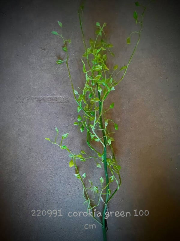 22099-1 corokia green (  2 - B )