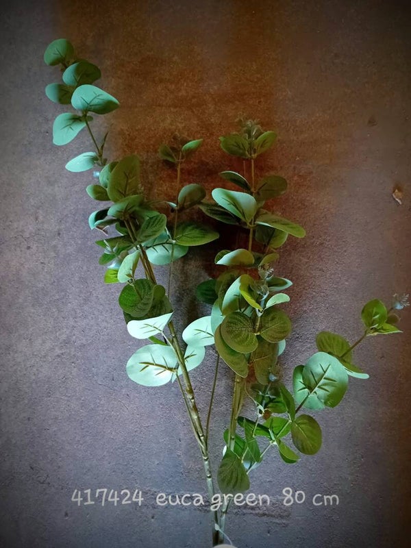 417424 eucalyptus green (  2 - B )