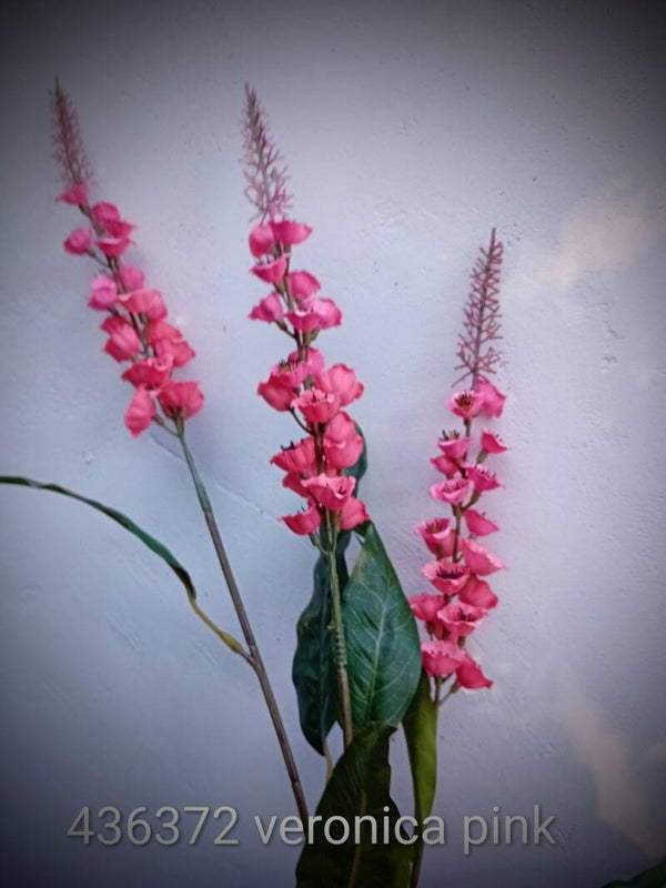 436372 veronica pink 97 cm