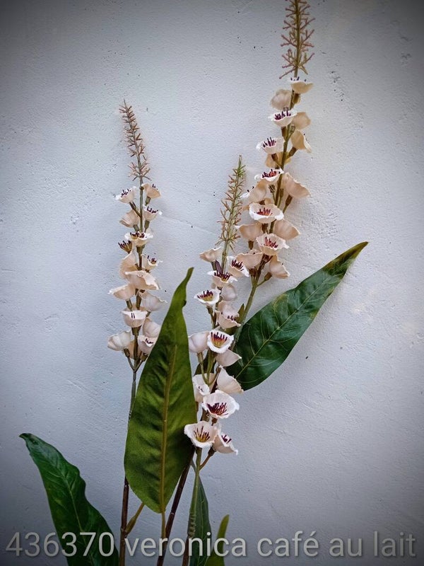 436370  veronica 97 cm latte