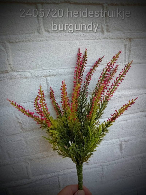 2405720 heide bush 30 cm