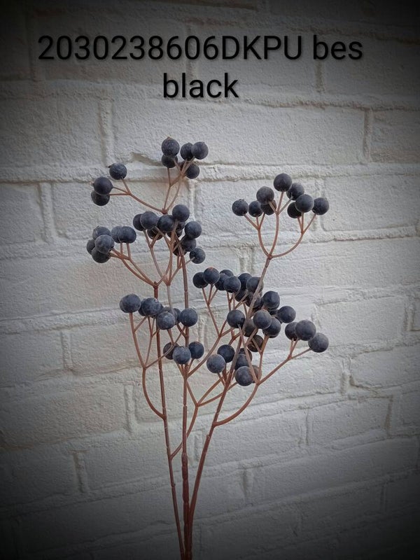2030238606 dkpu  berrie black