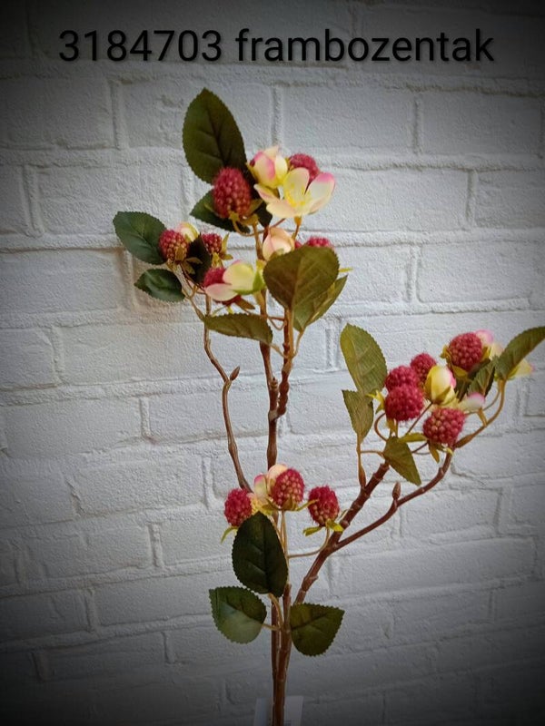 3184703 frambozentak 80 cm