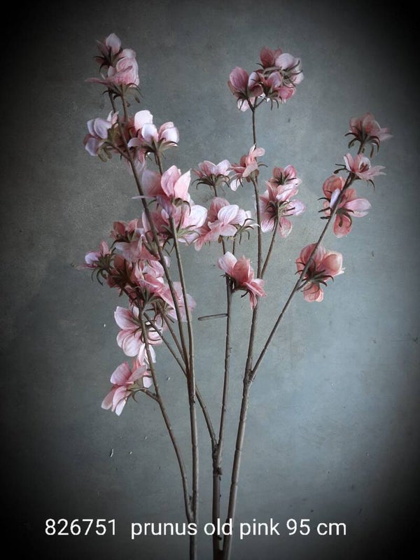 826751 prunus old pink 95 cm