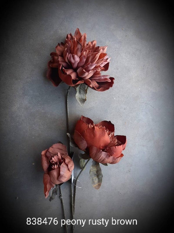 838476 peony roest
