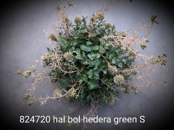 824722  hedera halve bol xl green