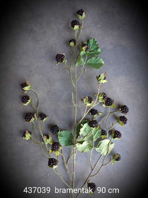 437039 blackberrie bramen 100 cm