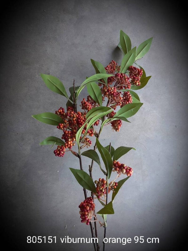 805151 viburnum orange 95 cm