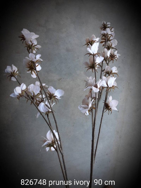 826748 prunus ivoren 90 cm