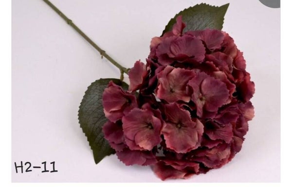 H2-11 hortensia  burgundy   55 cm    gaan per 12