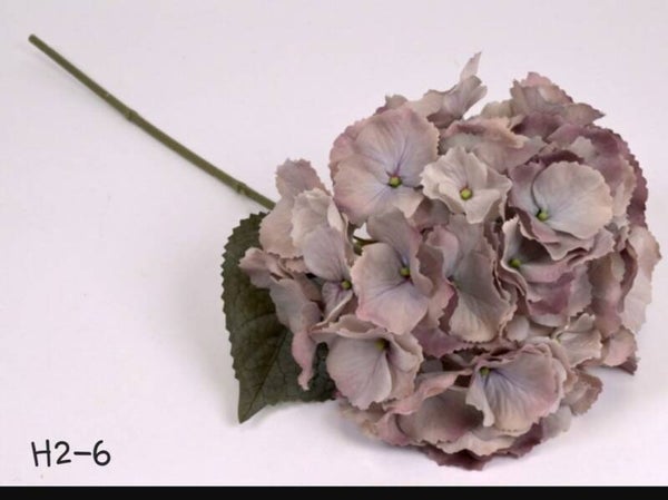 H2-6 hortensia soft purple  55 cm  gaan per 12
