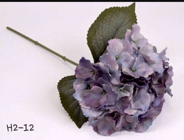 h2-12hortensia blue 55 cm    gaan per 12