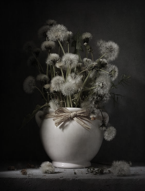 Nostalgisch foto en tekstbordje no. 895 (4stuks) pot paardepluis