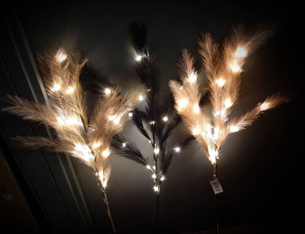 Pluimen met lichtjes   wit op led   3009