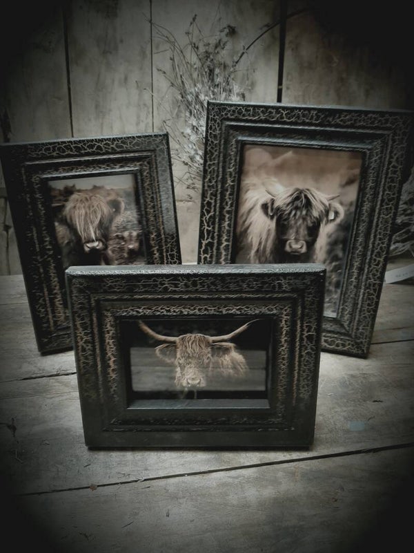 121198 Fotolijst zwart M  (  verzenden kan op eigen risico