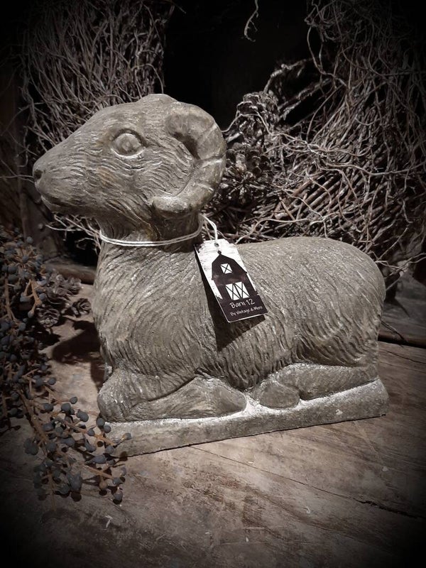 121004 ram L ( verzenden eigen risico)