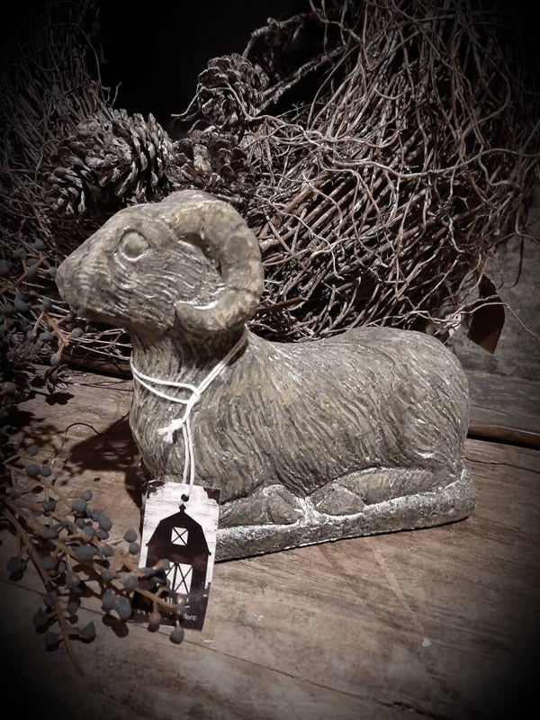 121003 ram S  (verzenden eigen risico)