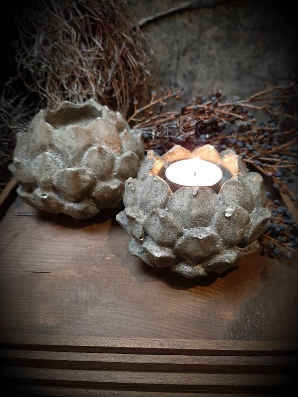 121016 artisjok waxine L ( verzenden op eigen risico