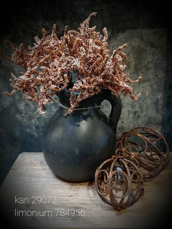 784956 Limonium brons