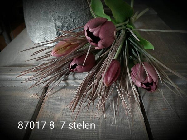 87017 8 tulp classic 7 stelen  purple per 6