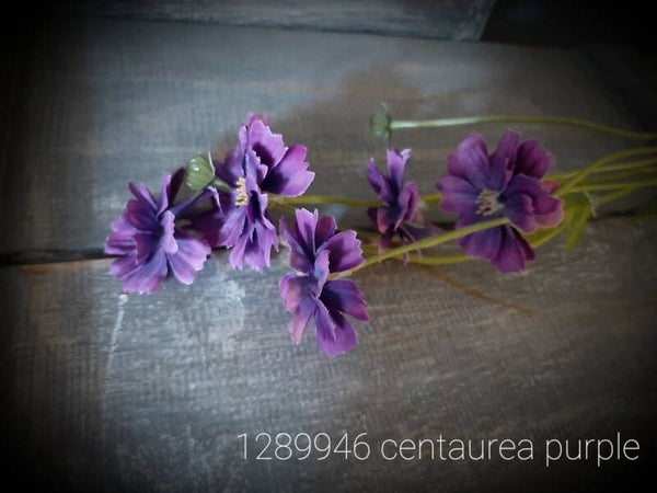 128946 Centaurea purple 64 cm
