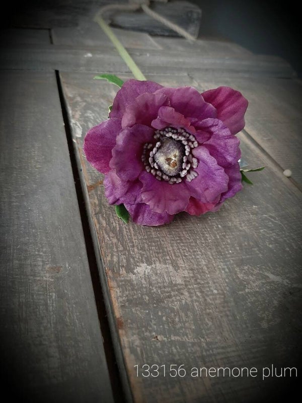 Anemone plum 37 cm