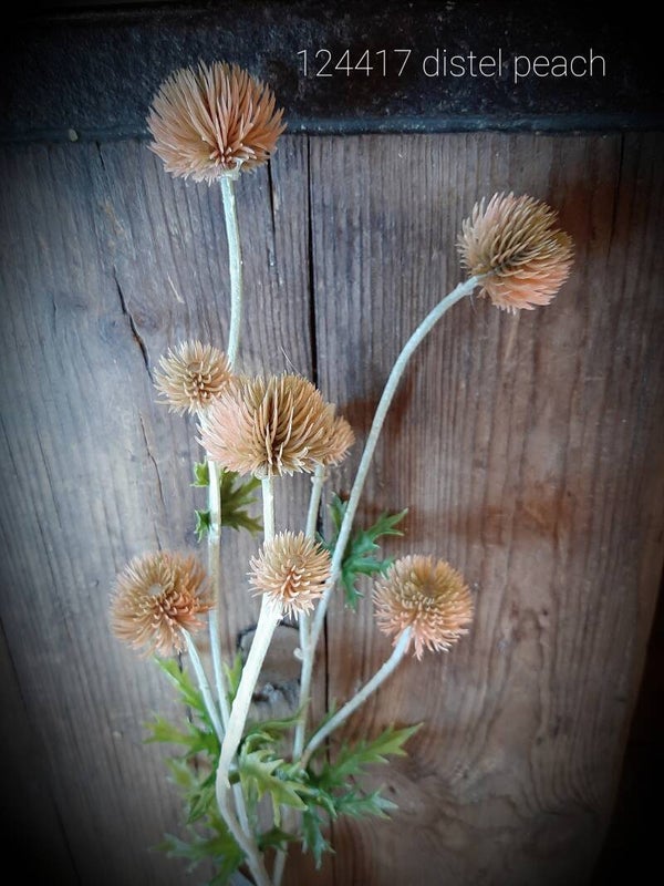 124417 thistle salmon 71 cm