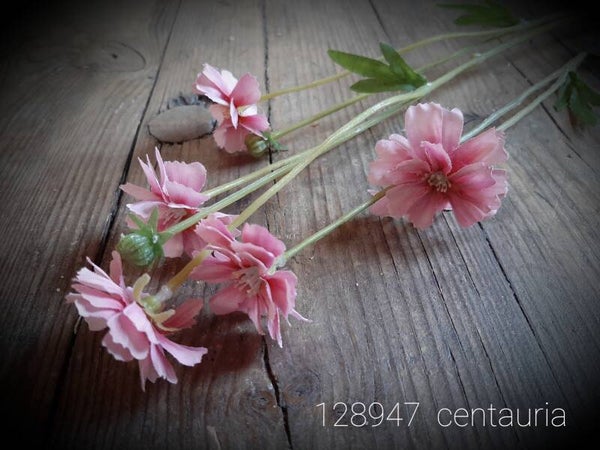 128947 centaurea pink 64 cm