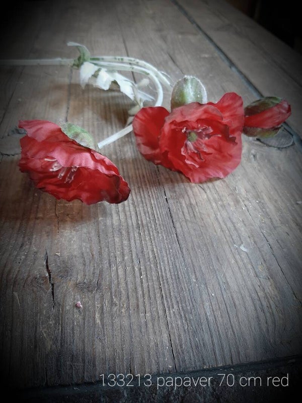 133213 papaver red 70 cm