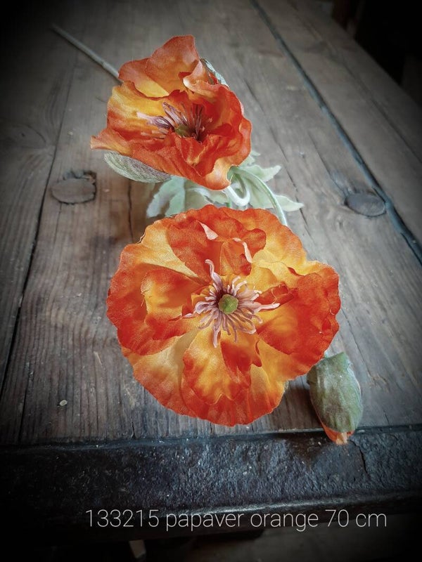 133215 papaver orange 70 cm