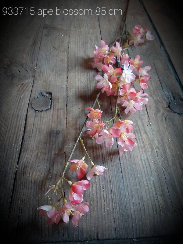 933715 appleblossom pink