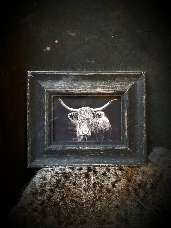 121265 fotolijst s 10 x 15 (verzenden kan op eigen risico