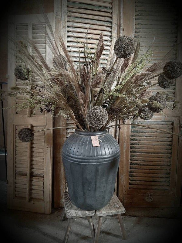 129368 Alliumbol bruin