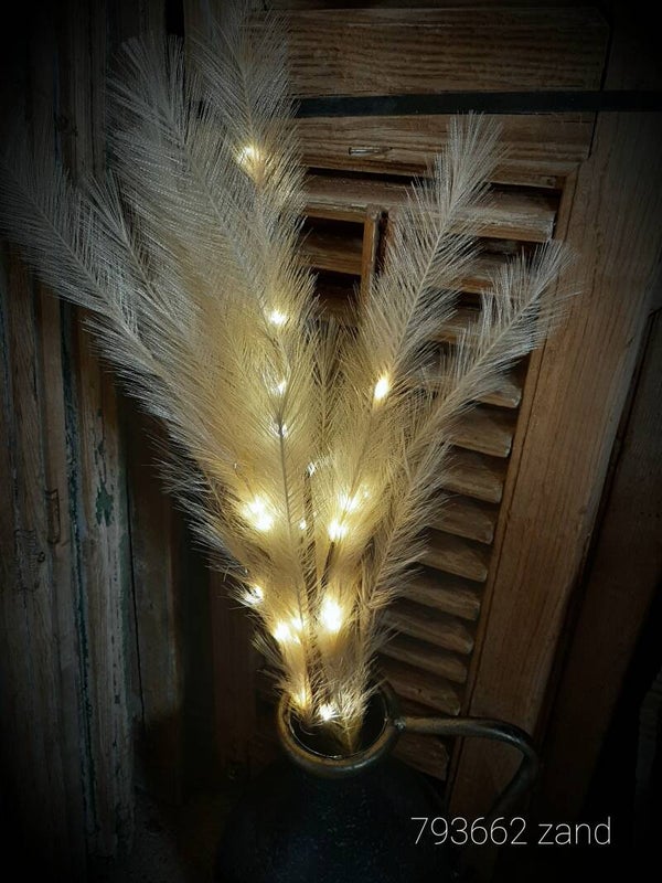 793662 pluimen creme per stuk