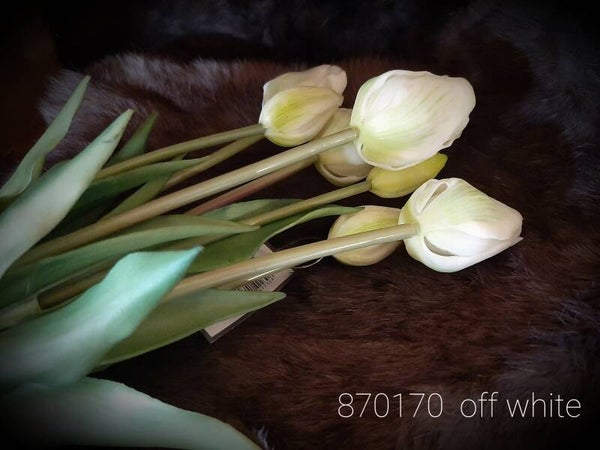 87017 0 tulp classic white  7 stelen