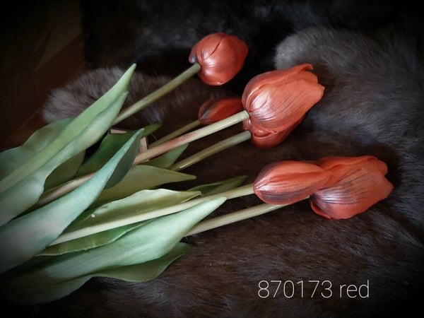 87017 3 tulp classic red 7 stelen gaan per 6 bos